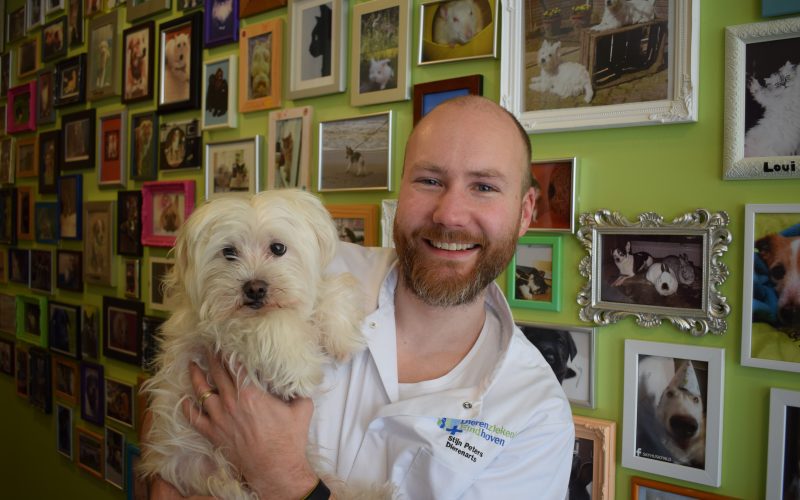 Dierenziekenhuis Eindhoven Stijn Peters