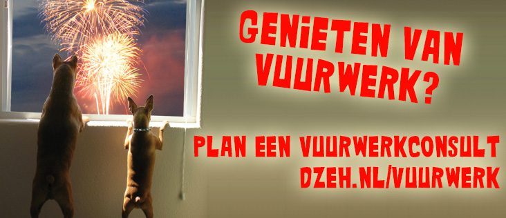 Vuurwerk honden
