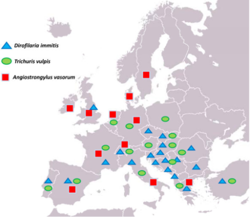 longworm en hartworm kaart Europa