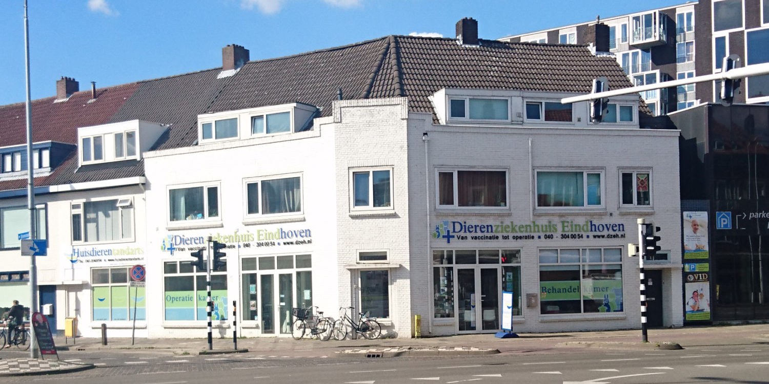 goedkope dierenarts friesland