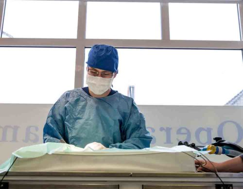 dieren chirurgie