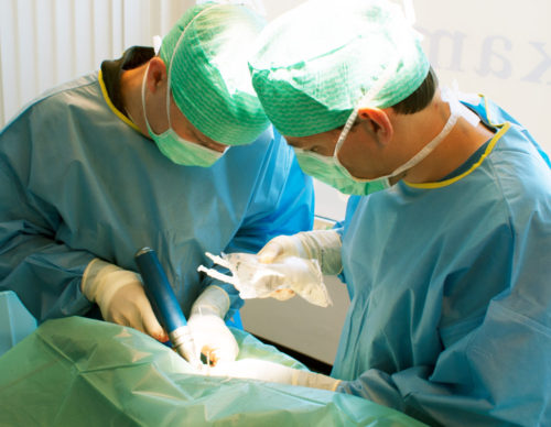 operatie orthopedie huisdier