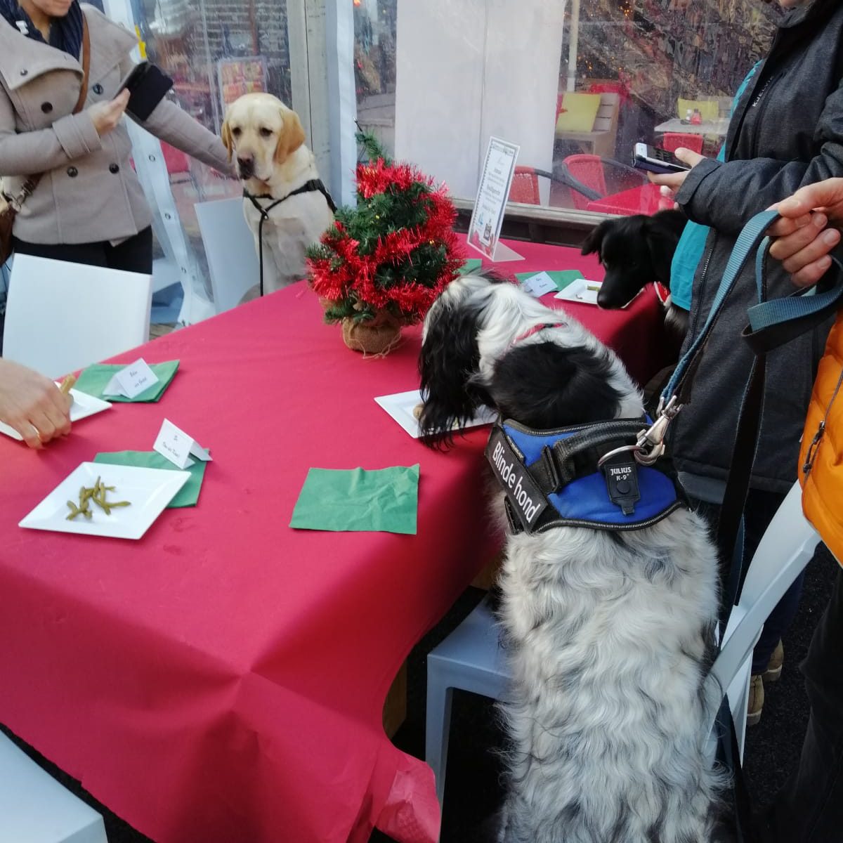 kerstdiner honden