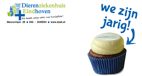 cupcakes op 9 juli