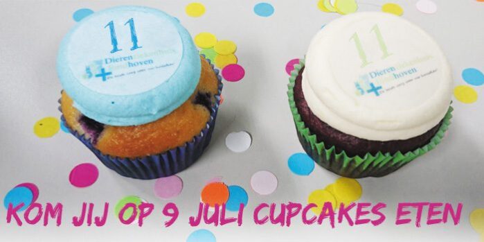 nieuwsbrief2022-cupcakes