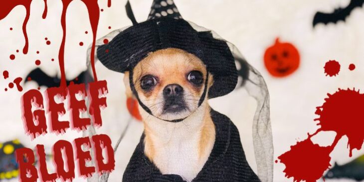 halloeween-bloedonderzoek-doen