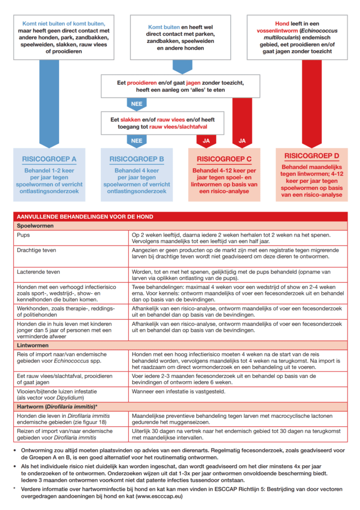 behandelschema ontwormen