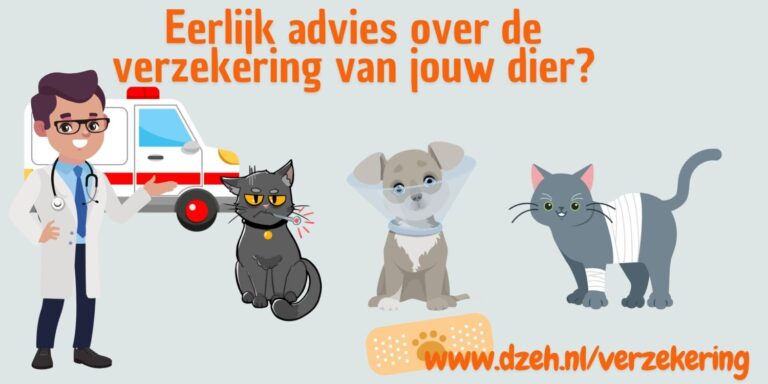 Eerlijk advies over de verzekering van je huisdier