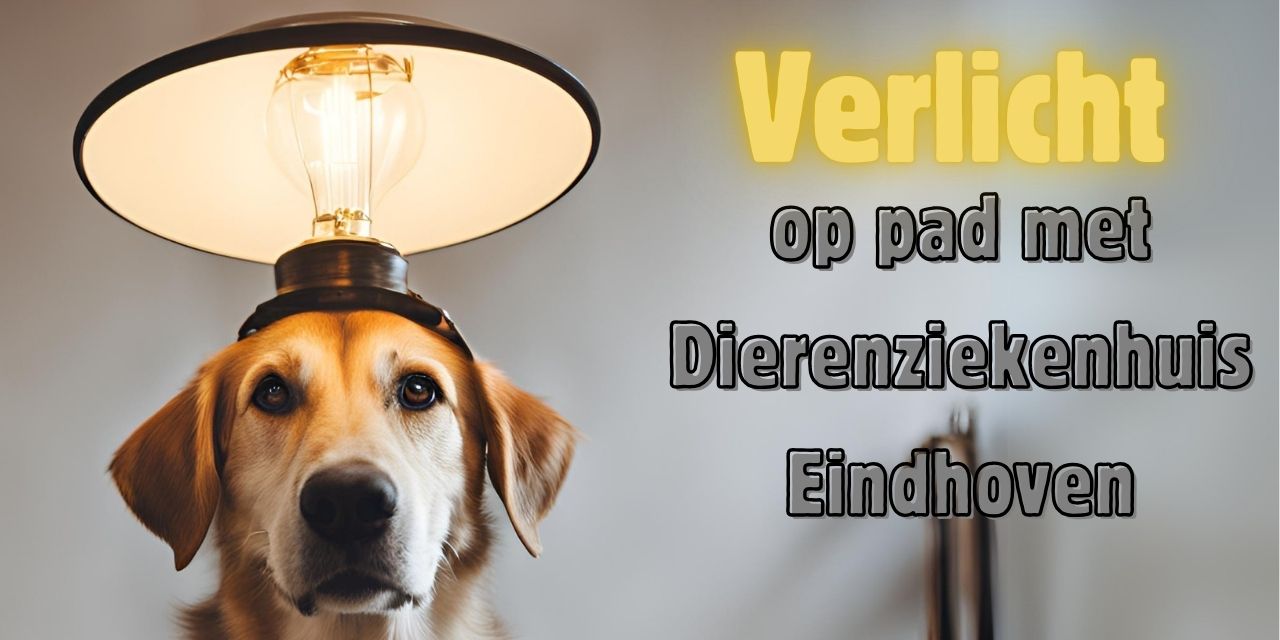 verlicht op pad