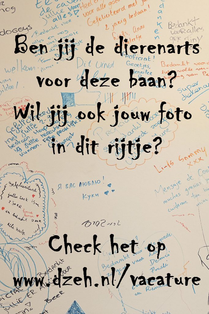 sollicitatie Paraveterinair