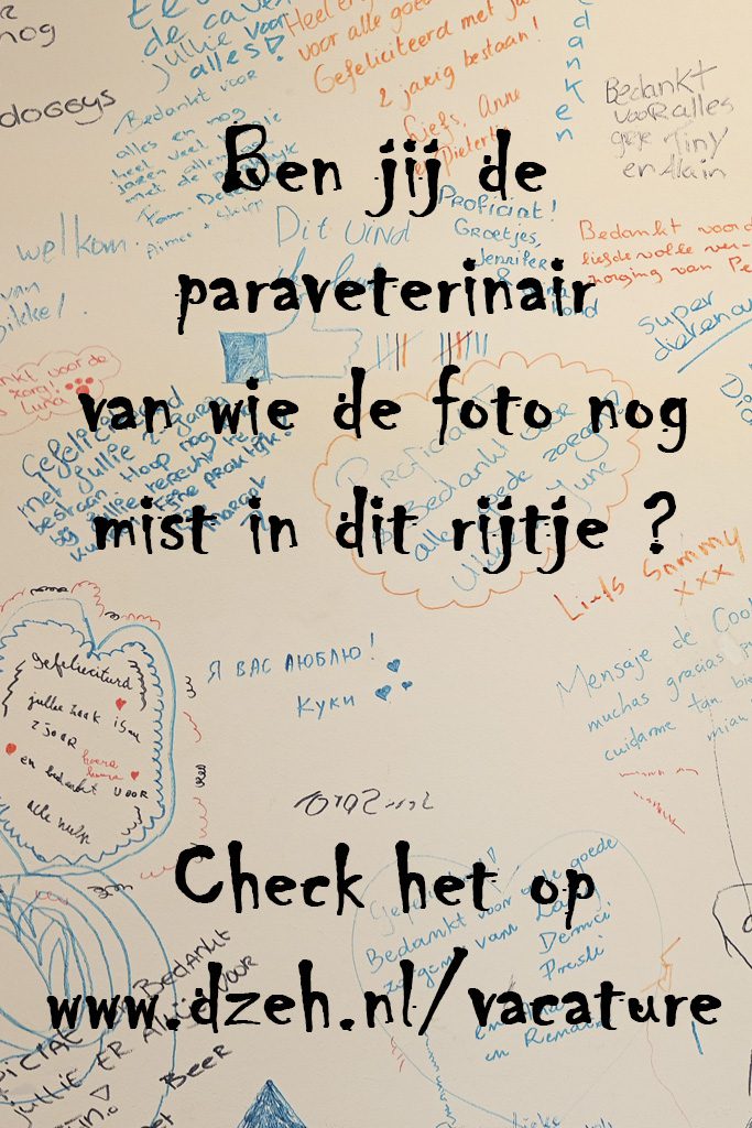 sollicitatie Paraveterinair