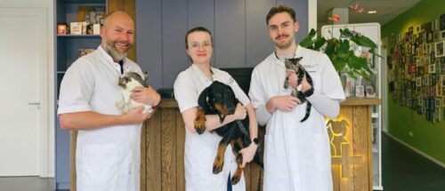 3 artsen met dieren vast