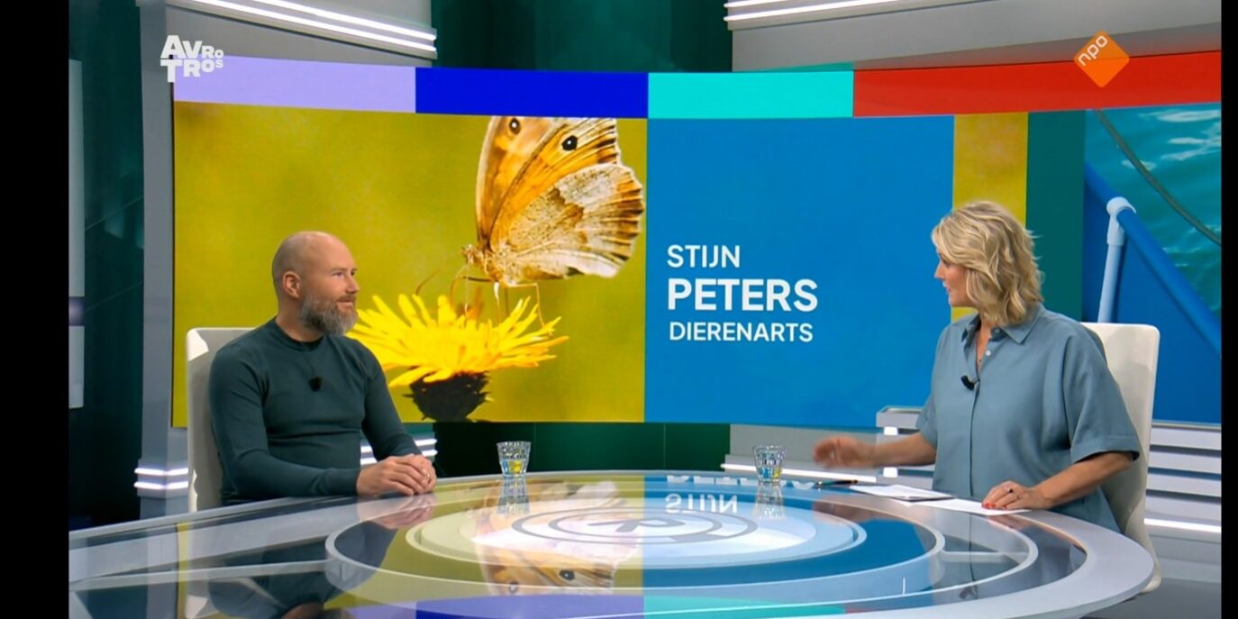 547683936_1343985277732867_7342013219766575019_n