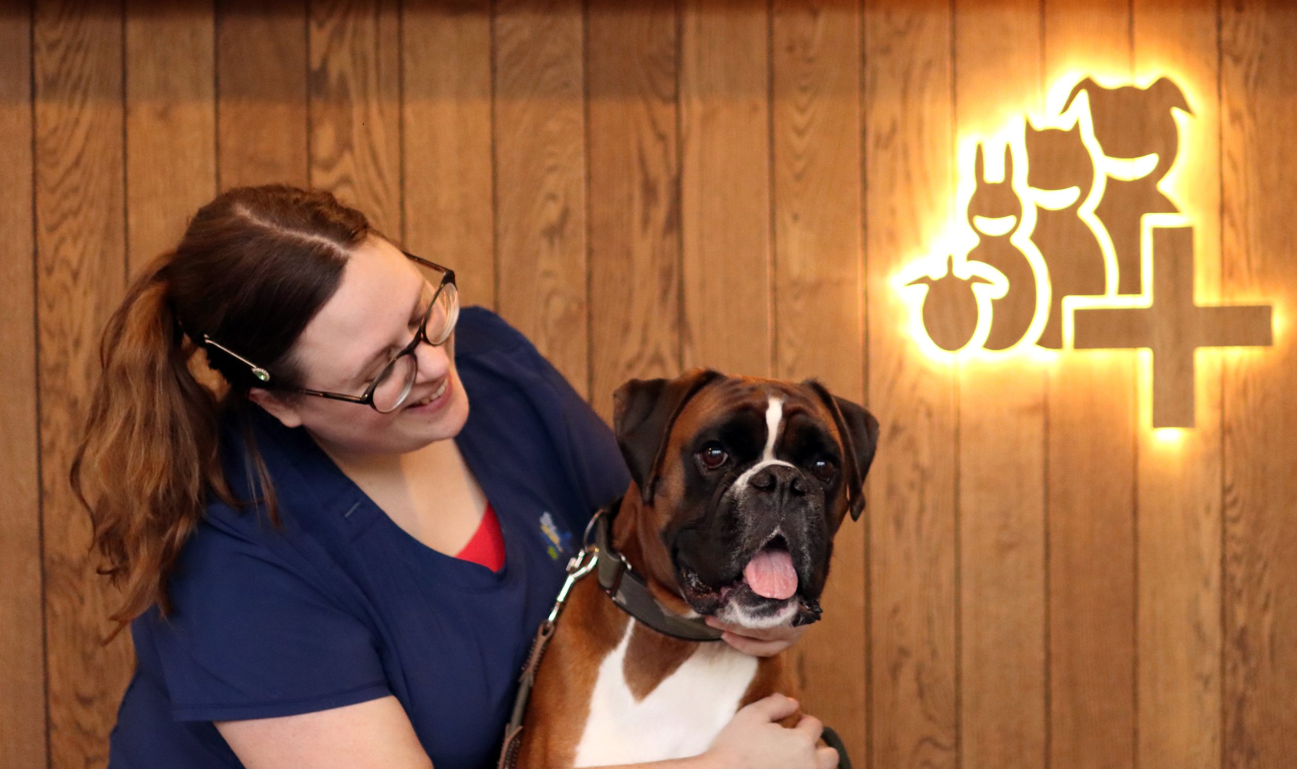 medewerker dierenziekenhuis eindhoven met hond